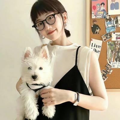 傲骨贤妻第七季